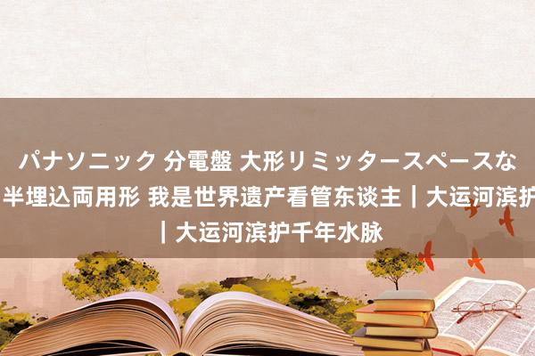 パナソニック 分電盤 大形リミッタースペースなし 露出・半埋込両用形 我是世界遗产看管东谈主｜大运河滨护千年水脉