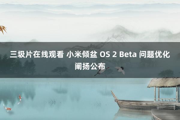 三圾片在线观看 小米倾盆 OS 2 Beta 问题优化阐扬公布