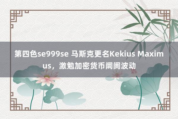 第四色se999se 马斯克更名Kekius Maximus，激勉加密货币阛阓波动