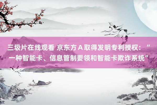 三圾片在线观看 京东方Ａ取得发明专利授权：“一种智能卡、信息管制要领和智能卡欺诈系统”