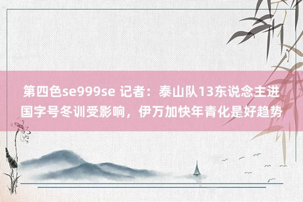 第四色se999se 记者：泰山队13东说念主进国字号冬训受影响，伊万加快年青化是好趋势