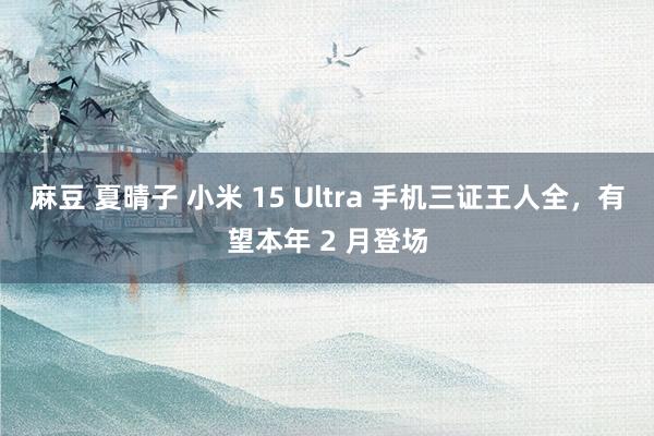 麻豆 夏晴子 小米 15 Ultra 手机三证王人全，有望本年 2 月登场