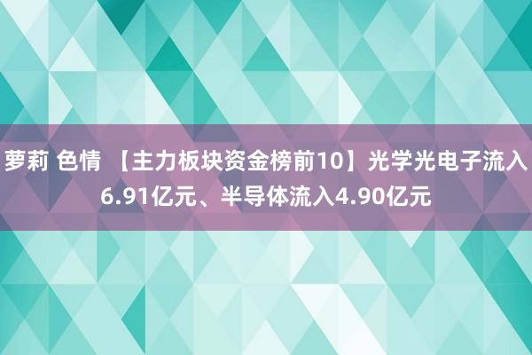 萝莉 色情 【主力板块资金榜前10】光学光电子流入6.91亿元、半导体流入4.90亿元