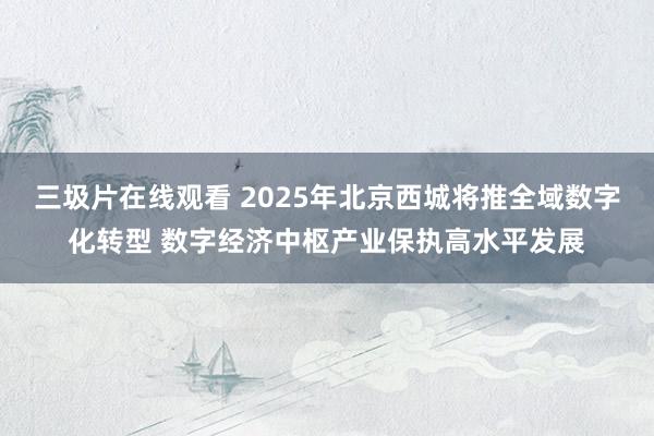 三圾片在线观看 2025年北京西城将推全域数字化转型 数字经济中枢产业保执高水平发展