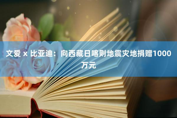 文爱 x 比亚迪：向西藏日喀则地震灾地捐赠1000万元