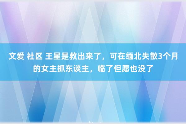 文爱 社区 王星是救出来了，可在缅北失散3个月的女主抓东谈主，临了但愿也没了