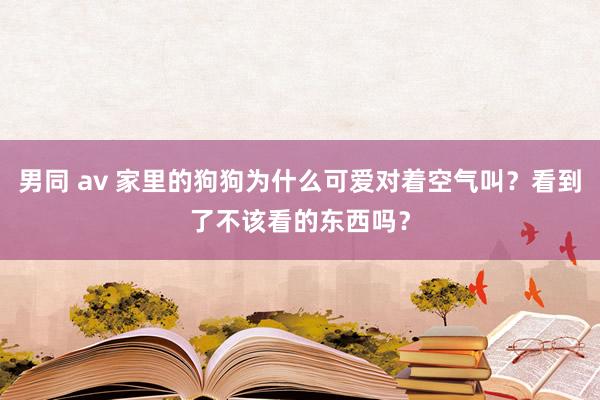 男同 av 家里的狗狗为什么可爱对着空气叫？看到了不该看的东西吗？