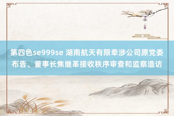 第四色se999se 湖南航天有限牵涉公司原党委布告、董事长焦继革接收秩序审查和监察造访