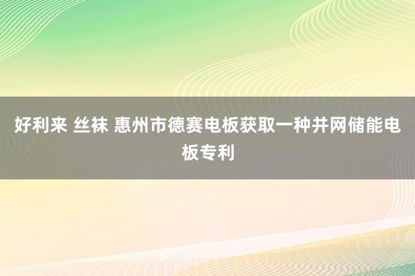 好利来 丝袜 惠州市德赛电板获取一种并网储能电板专利