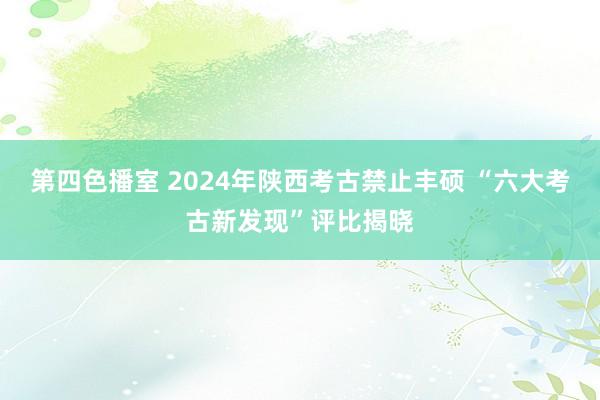 第四色播室 2024年陕西考古禁止丰硕 “六大考古新发现”评比揭晓