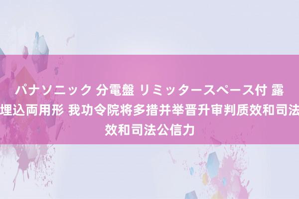 パナソニック 分電盤 リミッタースペース付 露出・半埋込両用形 我功令院将多措并举晋升审判质效和司法公信力