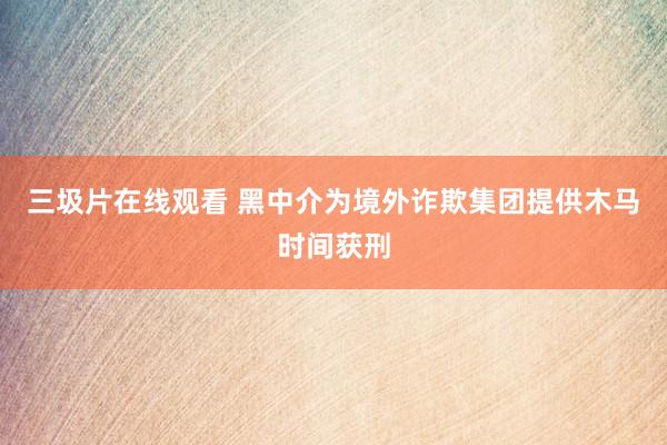 三圾片在线观看 黑中介为境外诈欺集团提供木马时间获刑