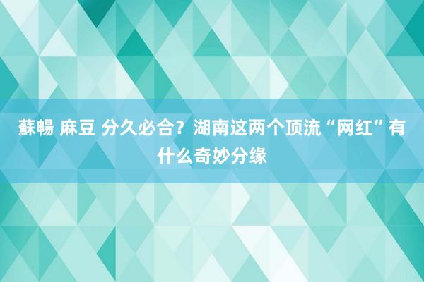 蘇暢 麻豆 分久必合？湖南这两个顶流“网红”有什么奇妙分缘