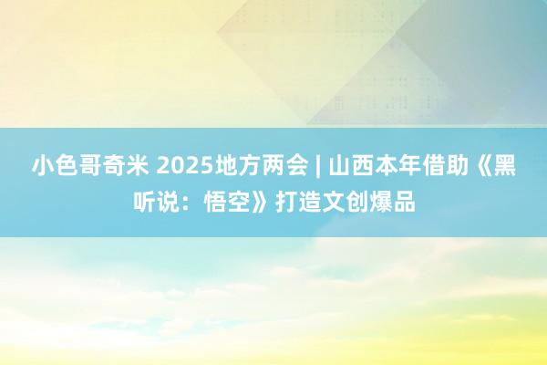 小色哥奇米 2025地方两会 | 山西本年借助《黑听说：悟空》打造文创爆品